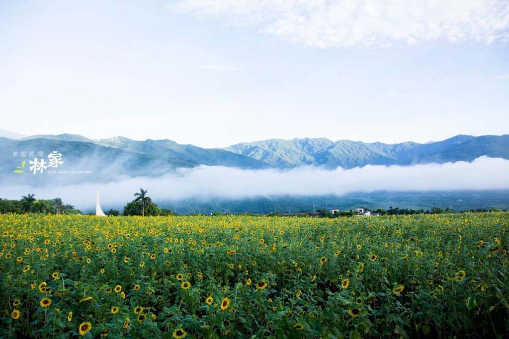 Lin Tea B&B Жуйсуй Экстерьер фото